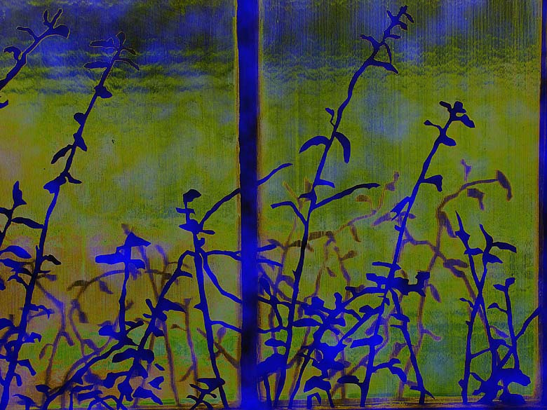 solarized window